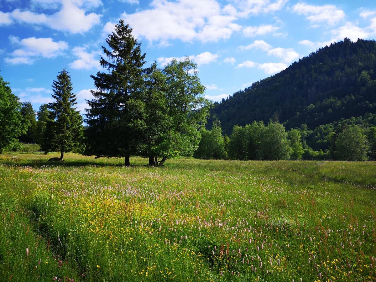 B2 Albmatte Διαμέρισμα Menzenschwand-Hinterdorf Εξωτερικό φωτογραφία