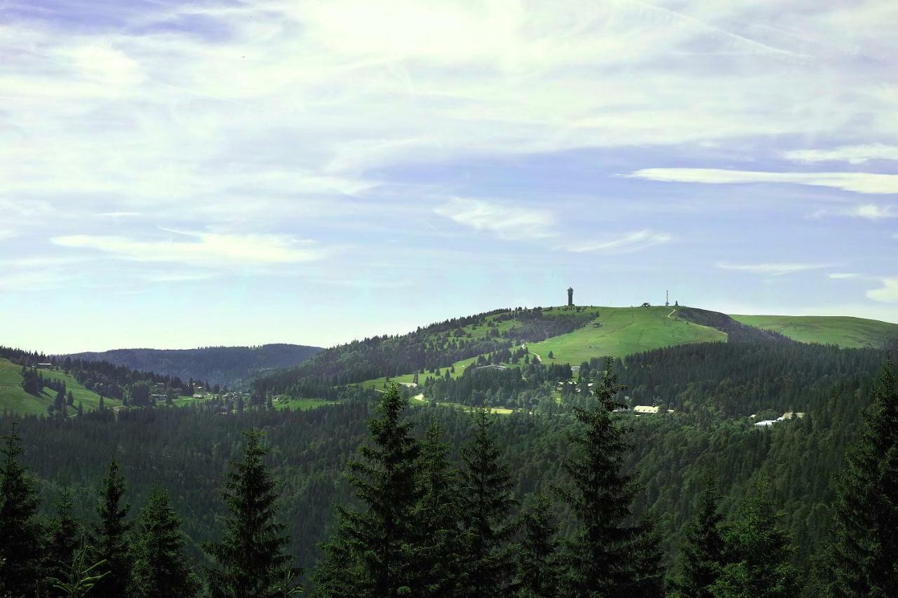 B2 Albmatte Διαμέρισμα Menzenschwand-Hinterdorf Εξωτερικό φωτογραφία