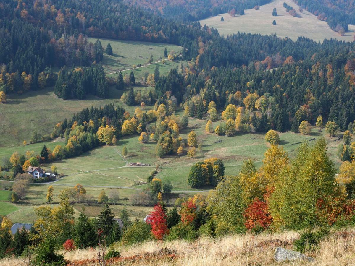 B2 Albmatte Διαμέρισμα Menzenschwand-Hinterdorf Εξωτερικό φωτογραφία